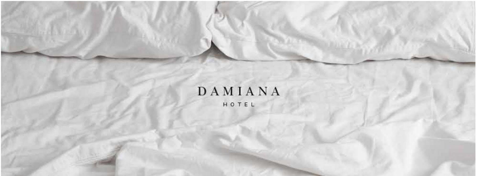 Hotel Damiana Boutique 케레타로 외부 사진